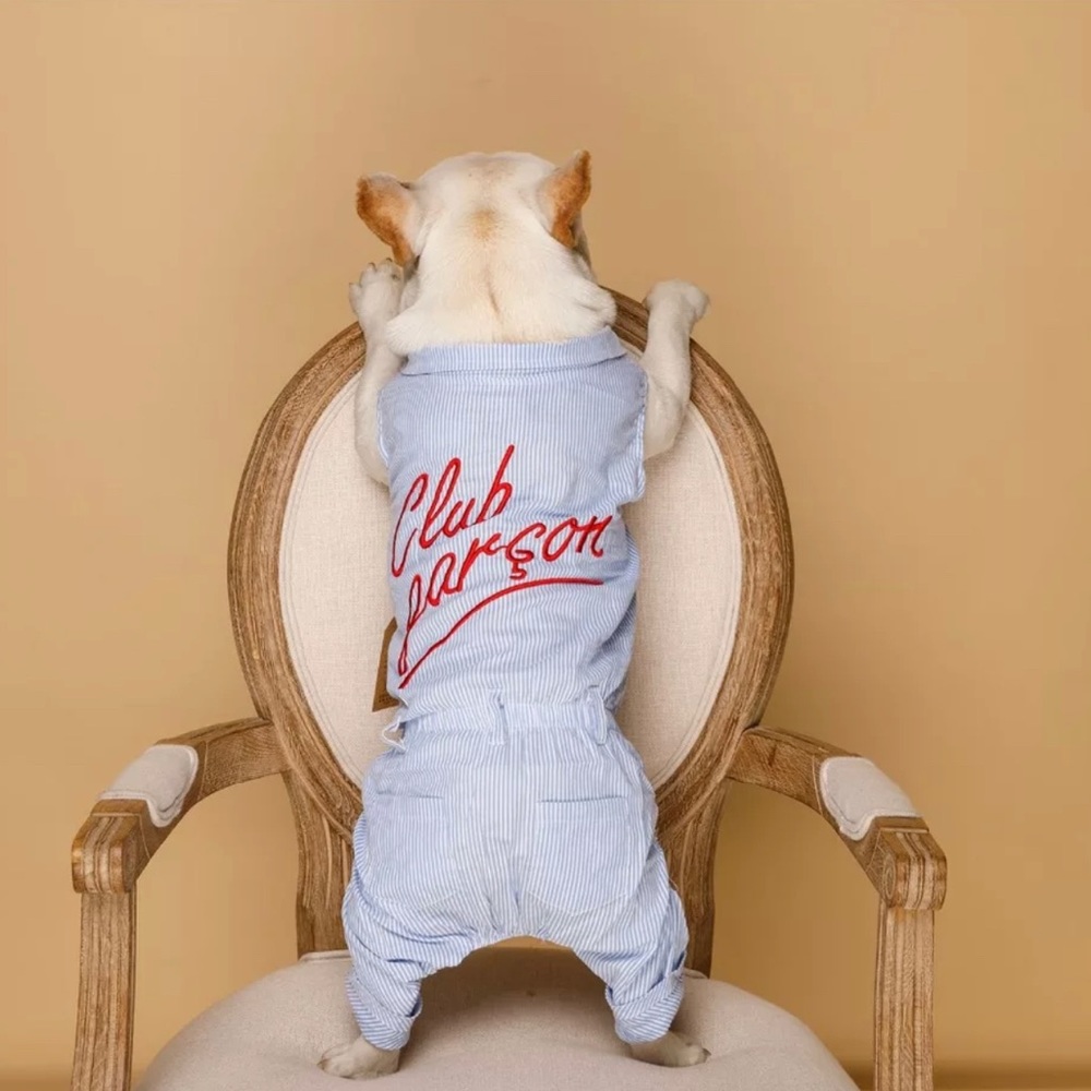 Dog romper Outfit